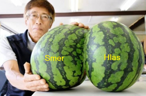 smer hlas